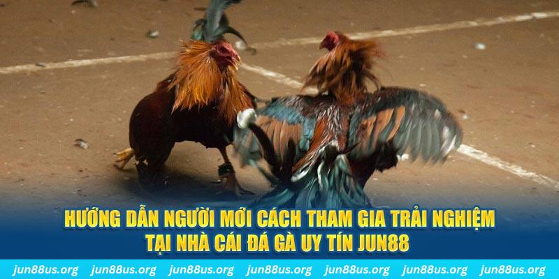 rr88vip CQ9 Điện Tử