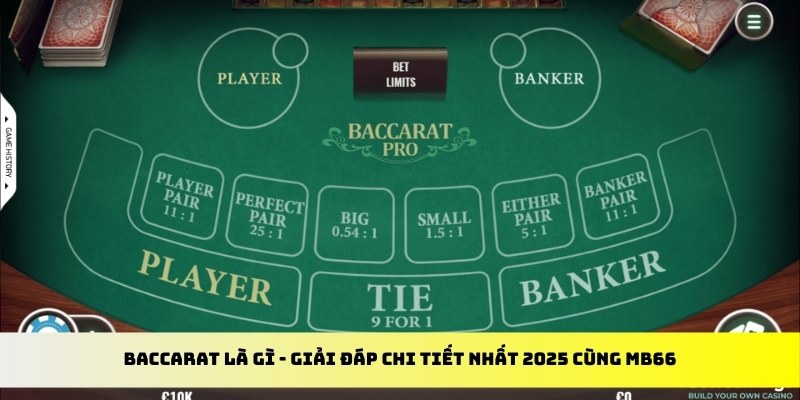 rr88vip gà chọi cu cần