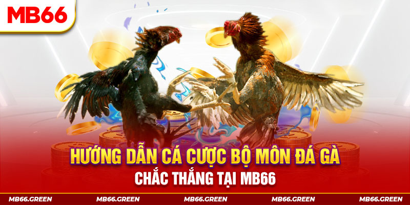 rr88vip bắn cá nổ hũ