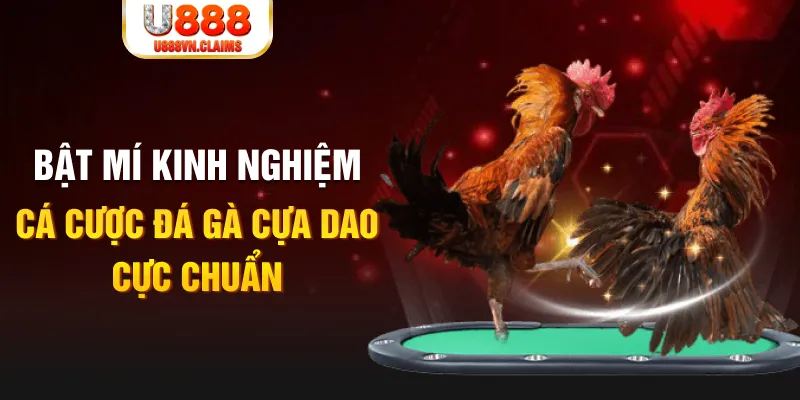rr88vip tỷ lệ cá cược châu á là gì