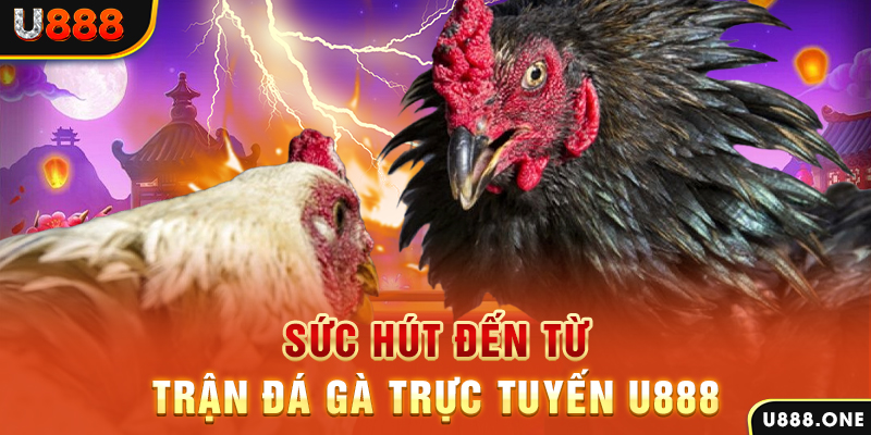 rr88vip nổ hũ b29 là gì