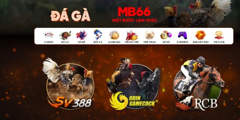 rr88vip đăng nhập poker số 1