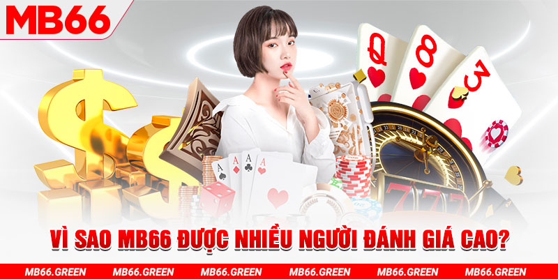 rr88vip đá gà