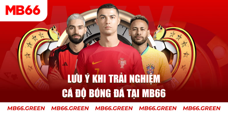 rr88vip cá cược là gì