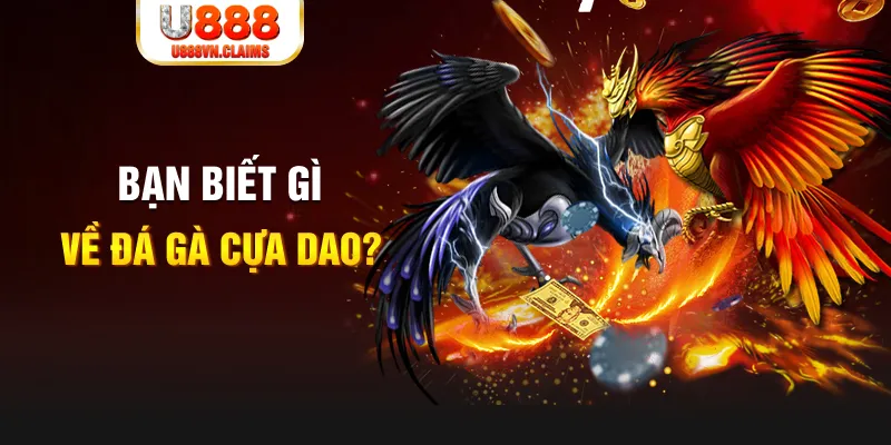 rr88vip nổ hủ là gì