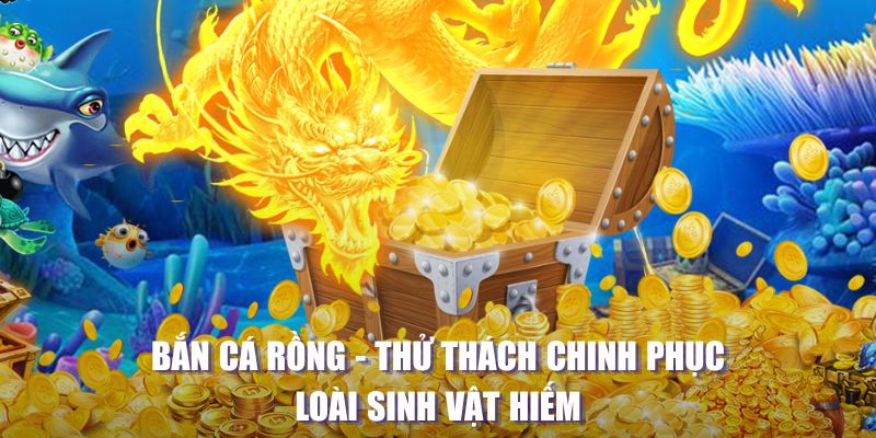 rr88vip máy slot game là loại trò chơi gì？