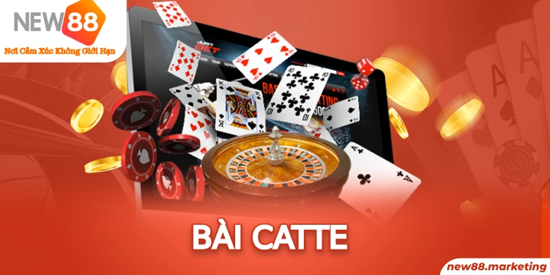 rr88vip gà chọi