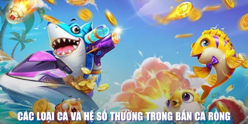 rr88vip đăng nhập sòng bạc mới nhất