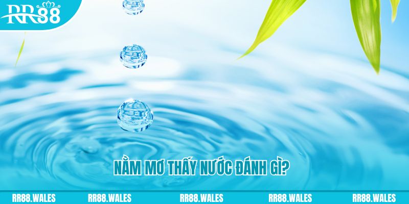 rr88vip TP Bắn cá