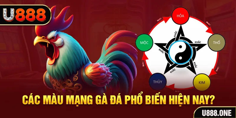 rr88vip trực tiếp đá gà 88