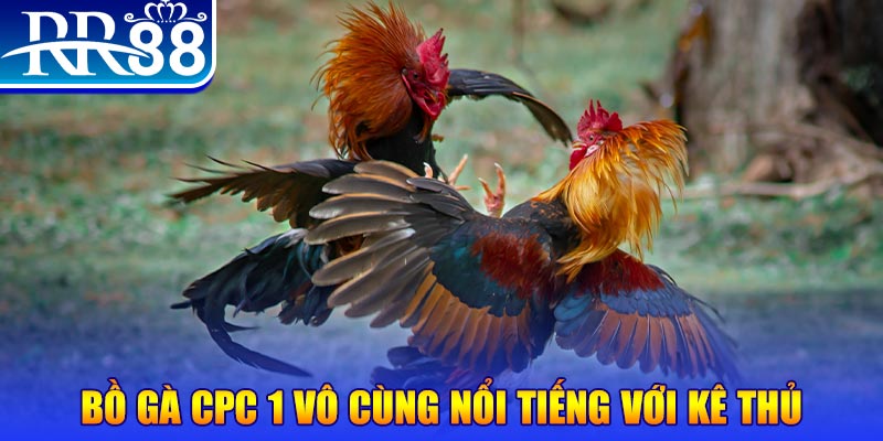 rr88vip game máy bay nổ hũ