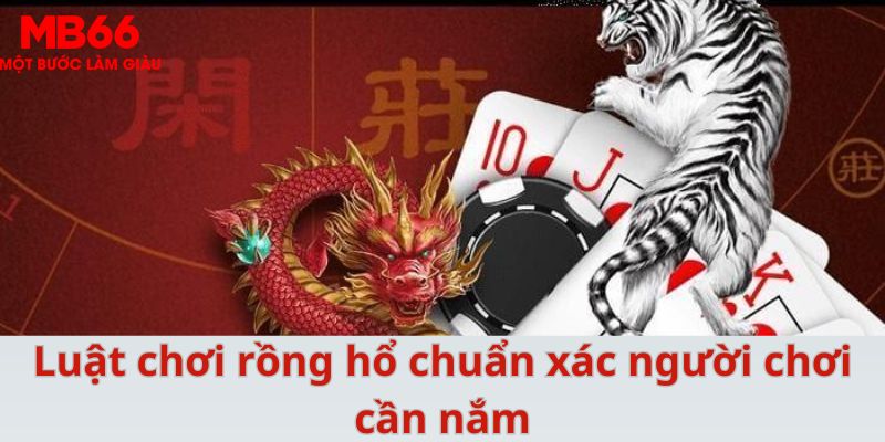 rr88vip xổ số cà mau