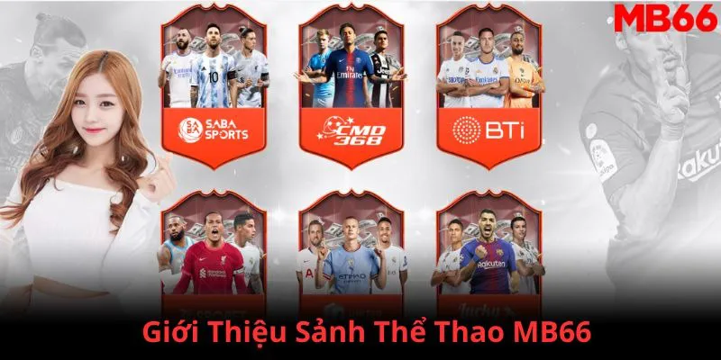 rr88vip đăng nhập phỏm 2024