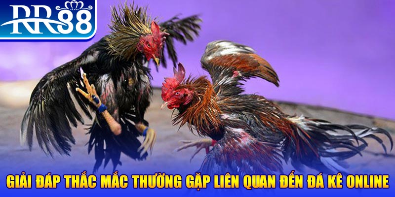 rr88vip xổ số đà lạt