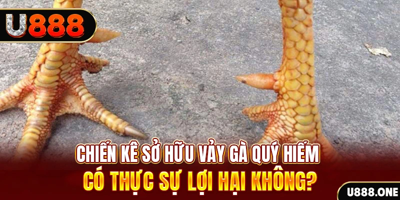 rr88vip nohu .mx nổ hủ là gì