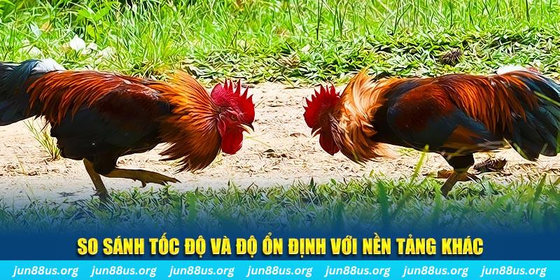 rr88vip đá gà hôm nay