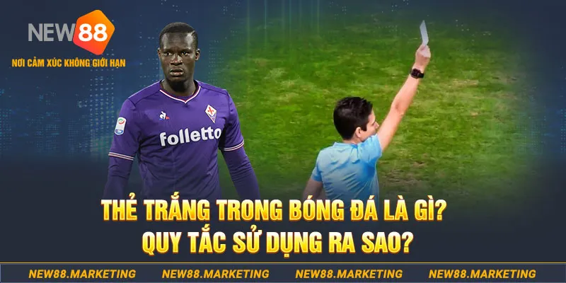 rr88vip gà chọi mộc hóa