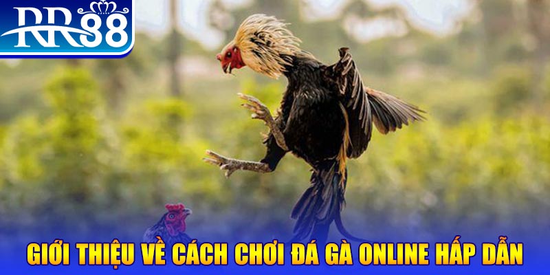 rr88vip game nổ hũ rút tiền mặt là gì