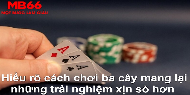 rr88vip xổ số đài bắc