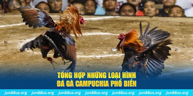 rr88vip đăng nhập nổ hũ 2024