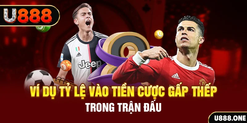 rr88vip kết quả xổ số 30 ngày