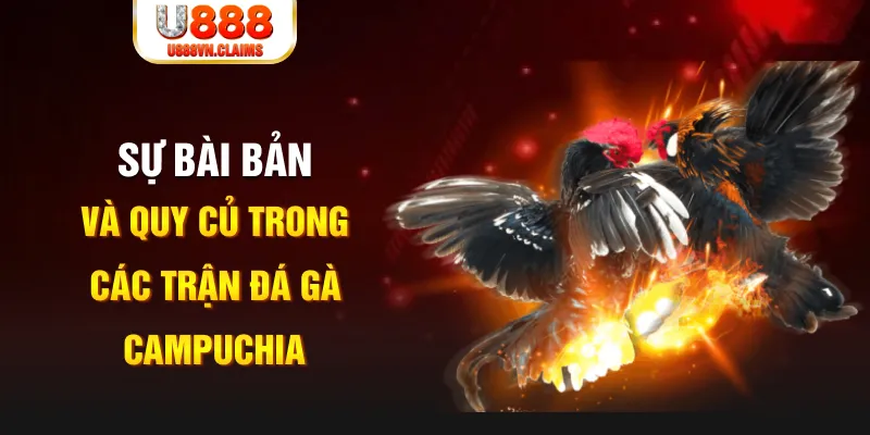 rr88vip YGR Điện Tử