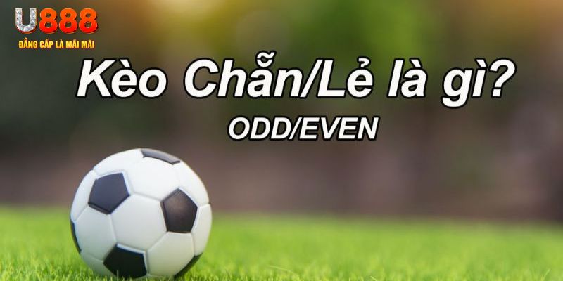 rr88vip đăng nhập poker hôm nay