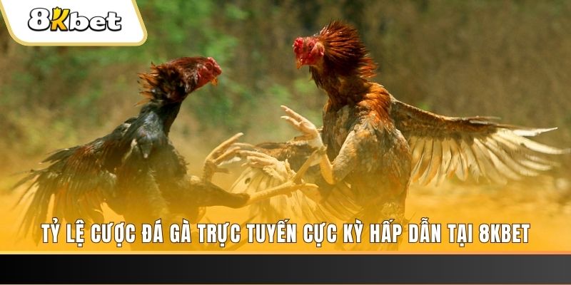 rr88vip xổ số trực tiếp miền bắc