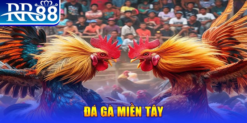 rr88vip chơi slot là gì