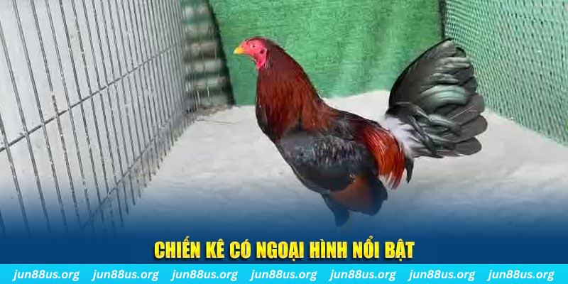 rr88vip chạy quảng cáo cho game bài bị phạt như thế nào