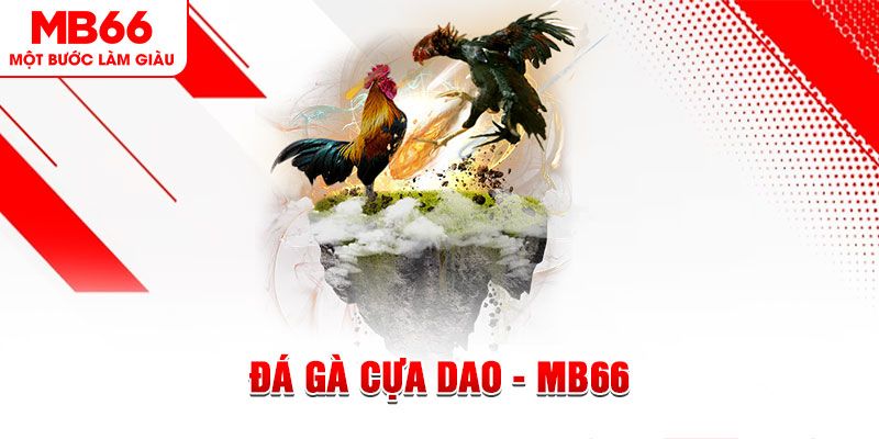 rr88vip đá gà sv388 gold
