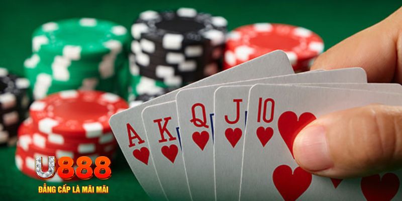 rr88vip đá gà trực tiếp thomo 67